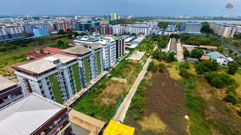 Prime Land Near RMUTT Khlong 6 – Ideal for Development & Investment! 2 Rai, Pathum Thani, Khlong Hok, Khlong Luang, Pathum Thani, , 9,600 sqm, Land For Sale, by ขายถูกที่ดิน 2 ไร่ 3 แปลง ใกล้มหาลัยเทคโนโลยีราชมงคลธัญบุรีคลอง 6 ปทุมธานี, 500333973 - DDproperty.com