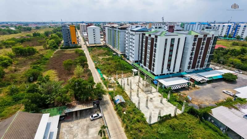 Prime Land Near RMUTT Khlong 6 – Ideal for Development & Investment! 2 Rai, Pathum Thani, Khlong Hok, Khlong Luang, Pathum Thani, , 9,600 sqm, Land For Sale, by ขายถูกที่ดิน 2 ไร่ 3 แปลง ใกล้มหาลัยเทคโนโลยีราชมงคลธัญบุรีคลอง 6 ปทุมธานี, 500333973 - DDproperty.com