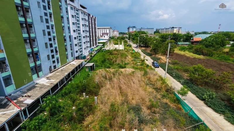 Prime Land Near RMUTT Khlong 6 – Ideal for Development & Investment! 2 Rai, Pathum Thani, Khlong Hok, Khlong Luang, Pathum Thani, , 9,600 sqm, Land For Sale, by ขายถูกที่ดิน 2 ไร่ 3 แปลง ใกล้มหาลัยเทคโนโลยีราชมงคลธัญบุรีคลอง 6 ปทุมธานี, 500333973 - DDproperty.com