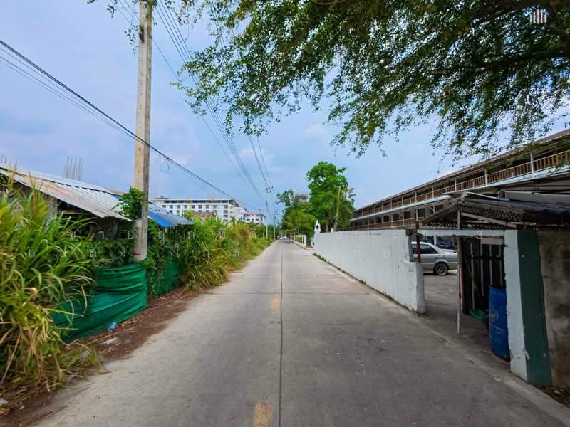 Prime Land Near RMUTT Khlong 6 – Ideal for Development & Investment! 2 Rai, Pathum Thani, Khlong Hok, Khlong Luang, Pathum Thani, , 9,600 sqm, Land For Sale, by ขายถูกที่ดิน 2 ไร่ 3 แปลง ใกล้มหาลัยเทคโนโลยีราชมงคลธัญบุรีคลอง 6 ปทุมธานี, 500333973 - DDproperty.com