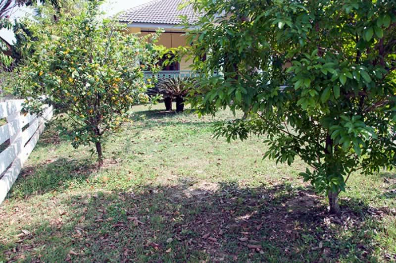 Suthep, Chiang Mai, Su Thep, Muang Chiang Mai, Chiang Mai, 3 Bedrooms, 180 sqm, Single Detached House For Rent, by วุฒิภัทร มิ่งคำ, 500334043 - DDproperty.com