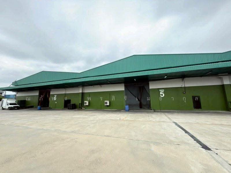 ให้เช่าโกดัง บ้านแพ้ว ขนาด 2,645 ตร.ม. บ้านแพ้ว สมุทรสาคร (รหัสทรัพย์TW6-5626), Samut Sakhon, Amphaeng, Ban Phaeo, Samut Sakhon, , 2,645 sqm, Warehouse/Factory For Rent, by ณภัทร พรสิริเมธากุล, 500334045 - DDproperty.com