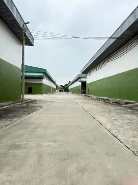 ให้เช่าโกดัง บ้านแพ้ว ขนาด 2,645 ตร.ม. บ้านแพ้ว สมุทรสาคร (รหัสทรัพย์TW6-5626), Samut Sakhon, Amphaeng, Ban Phaeo, Samut Sakhon, , 2,645 sqm, Warehouse/Factory For Rent, by ณภัทร พรสิริเมธากุล, 500334045 - DDproperty.com
