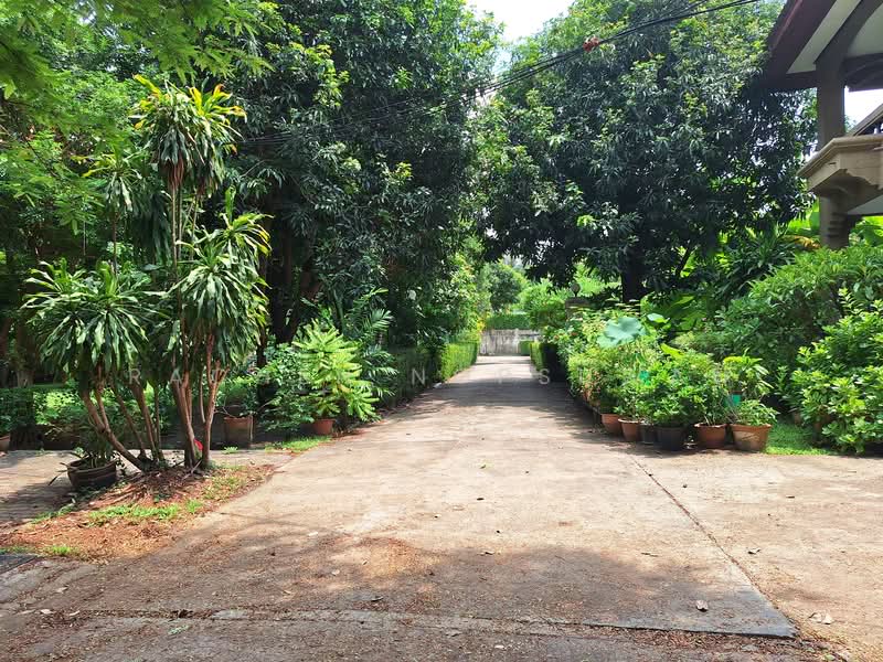 Panya Pattanakarn Village, Bangkok, Soi Phatthanakarn 30, Suan Luang, Bangkok, 5 Bedrooms, 250 sqm, Single Detached House For Rent, by Rachen Nopsuwan, 500334080 - DDproperty.com