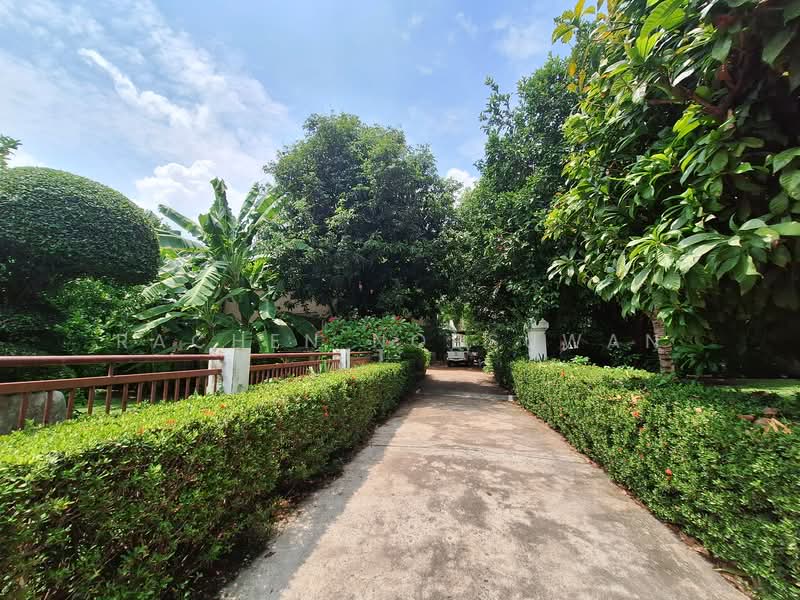 Panya Pattanakarn Village : หมู่บ้านปัญญา พัฒนาการ, กรุงเทพ, ซอยพัฒนาการ 30, สวนหลวง, กรุงเทพ, 250 ตร.ม., บ้านเดี่ยว ให้เช่า, โดย Rachen Nopsuwan, 500334080 - DDproperty.com
