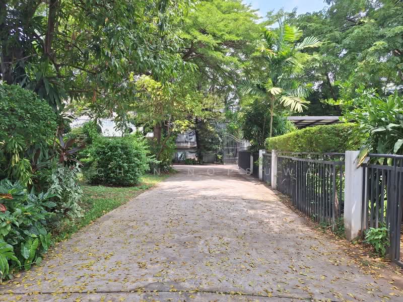 Panya Pattanakarn Village : หมู่บ้านปัญญา พัฒนาการ, กรุงเทพ, ซอยพัฒนาการ 30, สวนหลวง, กรุงเทพ, 250 ตร.ม., บ้านเดี่ยว ให้เช่า, โดย Rachen Nopsuwan, 500334080 - DDproperty.com