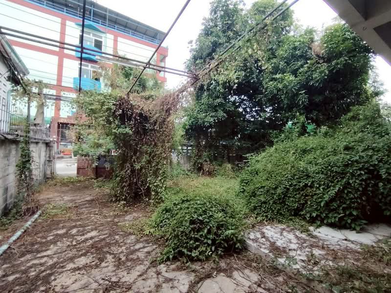 บ้านเดี่ยว 2 ชั้น สร้างเอง ซอยเพชรเกษม 53, กรุงเทพ, หลักสอง, บางแค, กรุงเทพ, 240 ตร.ม., บ้านเดี่ยว ขาย, โดย นันธิกา ศรีสุวรรณ, 500334245 - DDproperty.com
