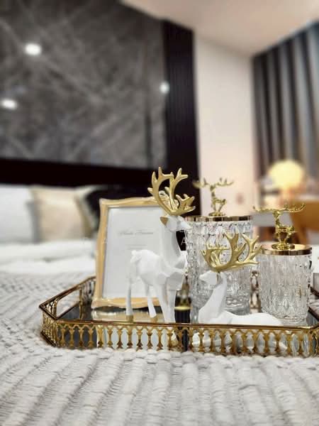 Kave Seed Kaset : เคฟ ซี้ด เกษตร, กรุงเทพ, ซอย พหลโยธิน 34, เสนานิคม, จตุจักร, กรุงเทพ, 26 ตร.ม., คอนโด ให้เช่า, โดย Airada Parasarn, 500334299 - DDproperty.com