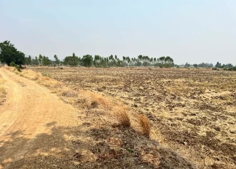 ที่ดินพยุหะคีรี นครสวรรค์, Nakhon Sawan, Sra Thale, Phayuha Khiri, Nakhon Sawan, , 16,616 sqm, Land For Sale, by The Best Property บุ๋มบิ๋ม, 500334371 - DDproperty.com