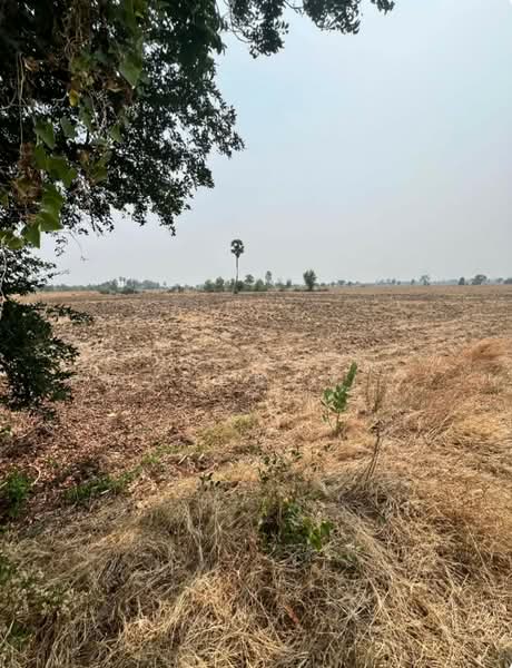 ที่ดินพยุหะคีรี นครสวรรค์, Nakhon Sawan, Sra Thale, Phayuha Khiri, Nakhon Sawan, , 16,616 sqm, Land For Sale, by The Best Property บุ๋มบิ๋ม, 500334371 - DDproperty.com