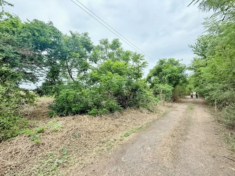 ที่ดินหนองจอก คลองสิบ กรุงเทพมหานคร, Bangkok, Khlong Sip, Nong Chok, Bangkok, Studio, 400 sqm, Land For Sale, by The Best Property เมญ่า, 500334378 - DDproperty.com