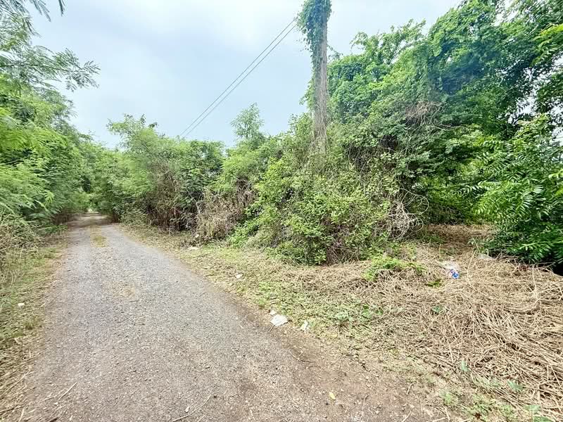 ที่ดินหนองจอก คลองสิบ กรุงเทพมหานคร, Bangkok, Khlong Sip, Nong Chok, Bangkok, Studio, 400 sqm, Land For Sale, by The Best Property เมญ่า, 500334378 - DDproperty.com