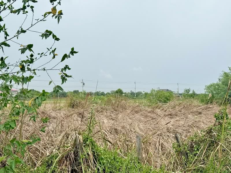 ที่ดินหนองจอก คลองสิบ กรุงเทพมหานคร, Bangkok, Khlong Sip, Nong Chok, Bangkok, Studio, 400 sqm, Land For Sale, by The Best Property เมญ่า, 500334378 - DDproperty.com