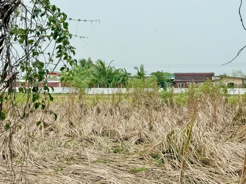 ที่ดินหนองจอก คลองสิบ กรุงเทพมหานคร, Bangkok, Khlong Sip, Nong Chok, Bangkok, Studio, 400 sqm, Land For Sale, by The Best Property เมญ่า, 500334378 - DDproperty.com