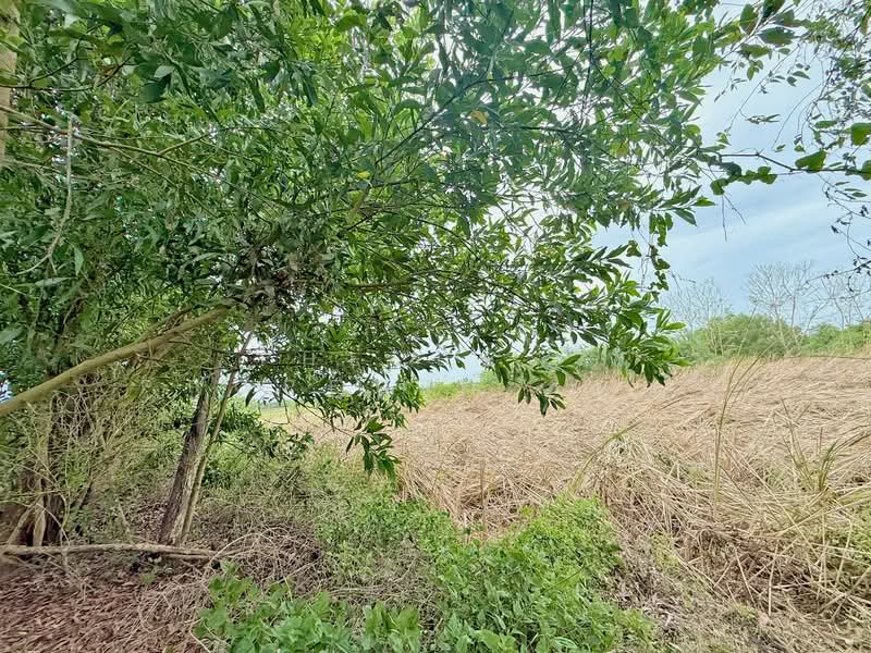 ที่ดินหนองจอก คลองสิบ กรุงเทพมหานคร, กรุงเทพ, คลองสิบ, หนองจอก, กรุงเทพ, 400 ตร.ม., ที่ดิน ขาย, โดย The Best Property เมญ่า, 500334378 - DDproperty.com