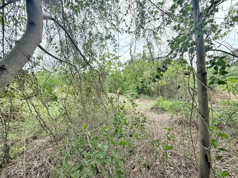 ที่ดินหนองจอก คลองสิบ กรุงเทพมหานคร, Bangkok, Khlong Sip, Nong Chok, Bangkok, Studio, 400 sqm, Land For Sale, by The Best Property เมญ่า, 500334378 - DDproperty.com