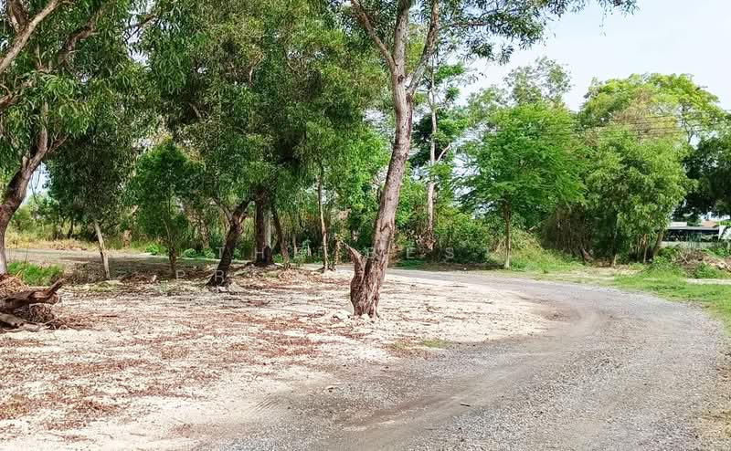 ที่ดินมีนบุรี กรุงเทพมหานคร, กรุงเทพ, แสนแสบ, มีนบุรี, กรุงเทพ, 1,600 ตร.ม., ที่ดิน ขาย, โดย The Best Property ตี้, 500334461 - DDproperty.com