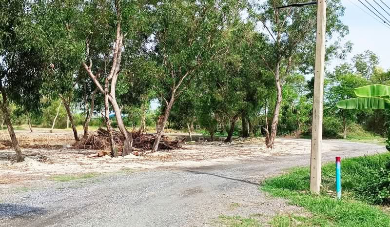 ที่ดินมีนบุรี กรุงเทพมหานคร, กรุงเทพ, แสนแสบ, มีนบุรี, กรุงเทพ, 1,600 ตร.ม., ที่ดิน ขาย, โดย The Best Property ตี้, 500334461 - DDproperty.com