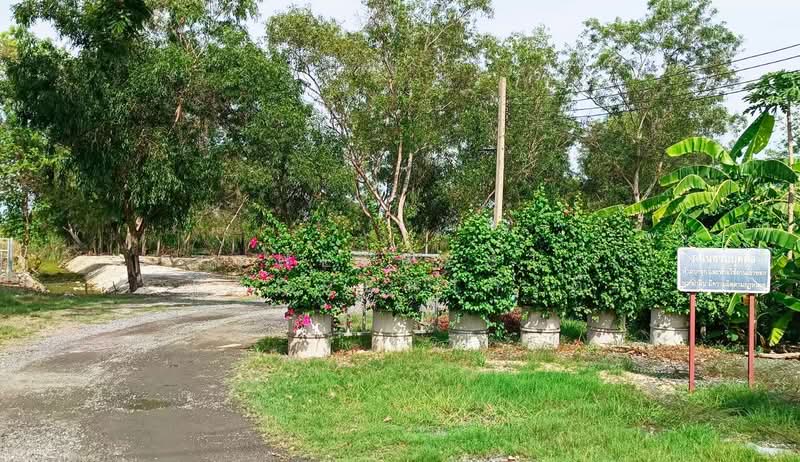 ที่ดินมีนบุรี กรุงเทพมหานคร, กรุงเทพ, แสนแสบ, มีนบุรี, กรุงเทพ, 1,600 ตร.ม., ที่ดิน ขาย, โดย The Best Property ตี้, 500334461 - DDproperty.com