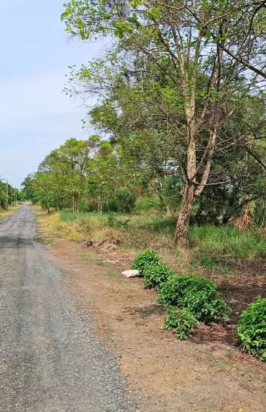 ที่ดินมีนบุรี กรุงเทพมหานคร, กรุงเทพ, แสนแสบ, มีนบุรี, กรุงเทพ, 1,600 ตร.ม., ที่ดิน ขาย, โดย The Best Property ตี้, 500334461 - DDproperty.com