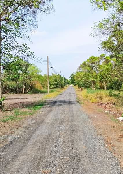 ที่ดินมีนบุรี กรุงเทพมหานคร, กรุงเทพ, แสนแสบ, มีนบุรี, กรุงเทพ, 1,600 ตร.ม., ที่ดิน ขาย, โดย The Best Property ตี้, 500334461 - DDproperty.com