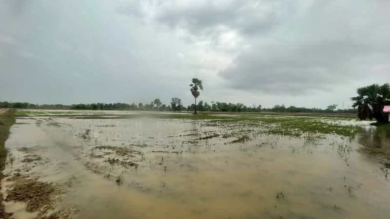 ที่ดินขาณุวรลักษบุรี กำแพงเพชร, กำแพงเพชร, ดอนแตง, ขาณุวรลักษบุรี, กำแพงเพชร, 8,200 ตร.ม., ที่ดิน ขาย, โดย The Best Property แป้ง, 500334468 - DDproperty.com