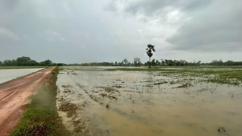 ที่ดินขาณุวรลักษบุรี กำแพงเพชร, กำแพงเพชร, ดอนแตง, ขาณุวรลักษบุรี, กำแพงเพชร, 8,200 ตร.ม., ที่ดิน ขาย, โดย The Best Property แป้ง, 500334468 - DDproperty.com
