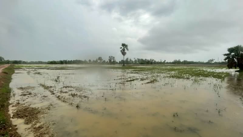 ที่ดินขาณุวรลักษบุรี กำแพงเพชร, กำแพงเพชร, ดอนแตง, ขาณุวรลักษบุรี, กำแพงเพชร, 8,200 ตร.ม., ที่ดิน ขาย, โดย The Best Property แป้ง, 500334468 - DDproperty.com