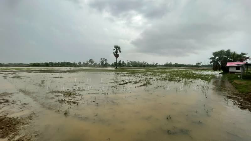 ที่ดินขาณุวรลักษบุรี กำแพงเพชร, กำแพงเพชร, ดอนแตง, ขาณุวรลักษบุรี, กำแพงเพชร, 8,200 ตร.ม., ที่ดิน ขาย, โดย The Best Property แป้ง, 500334468 - DDproperty.com