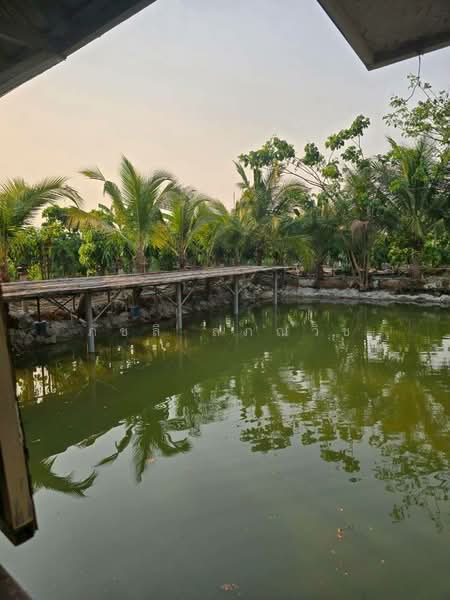 ศรีบัวบาน, Lamphun, Sri Bua Ban, Muang Lamphun, Lamphun, , 11,944 sqm, Land For Sale, by ภัชลี ลภณวิช, 500334477 - DDproperty.com