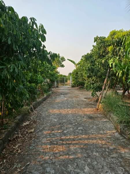 ศรีบัวบาน, Lamphun, Sri Bua Ban, Muang Lamphun, Lamphun, , 11,944 sqm, Land For Sale, by ภัชลี ลภณวิช, 500334477 - DDproperty.com