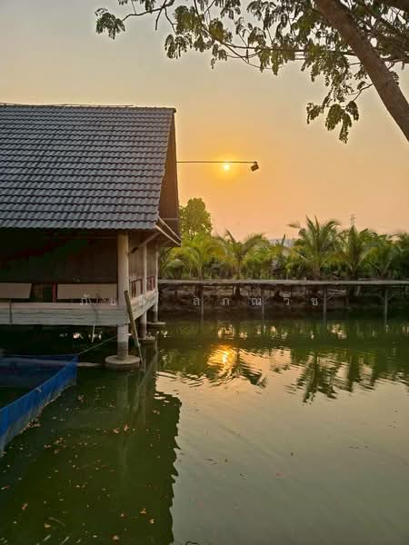 ศรีบัวบาน, Lamphun, Sri Bua Ban, Muang Lamphun, Lamphun, , 11,944 sqm, Land For Sale, by ภัชลี ลภณวิช, 500334477 - DDproperty.com
