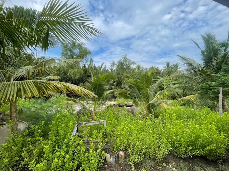 บ้านเดี่ยวพร้อมที่ดินบางจะเกร็ง สมุทรสงคราม, Samut Songkhram, Bang Cha Kreng, Muang Samut Songkhram, Samut Songkhram, 1 Bedroom, 150 sqm, Single Detached House For Sale, by The Best Property เมย์, 500334519 - DDproperty.com