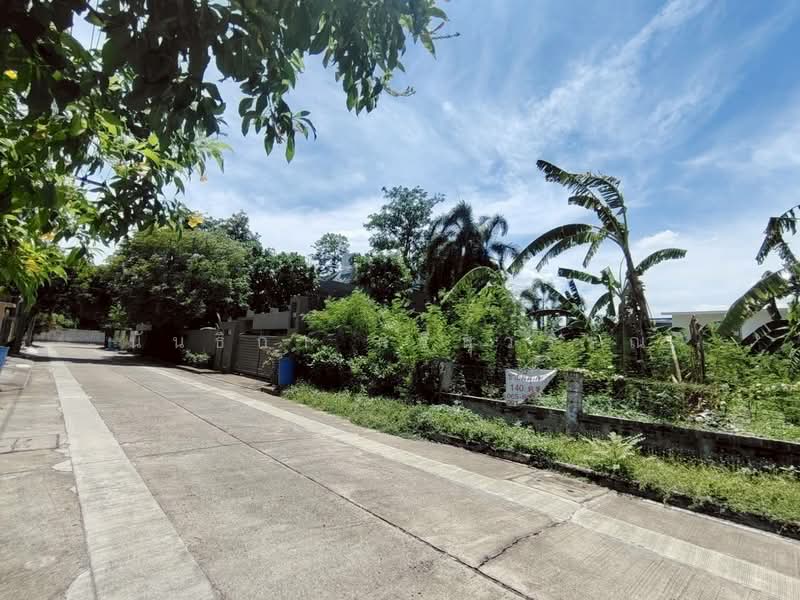 ที่ดินเปล่า หมู่บ้านร่มรื่น ราชพฤกษ์28, Bangkok, Taling Chan, Bangkok, , 560 sqm, Land For Sale, by นันธิกา ศรีสุวรรณ, 500334523 - DDproperty.com