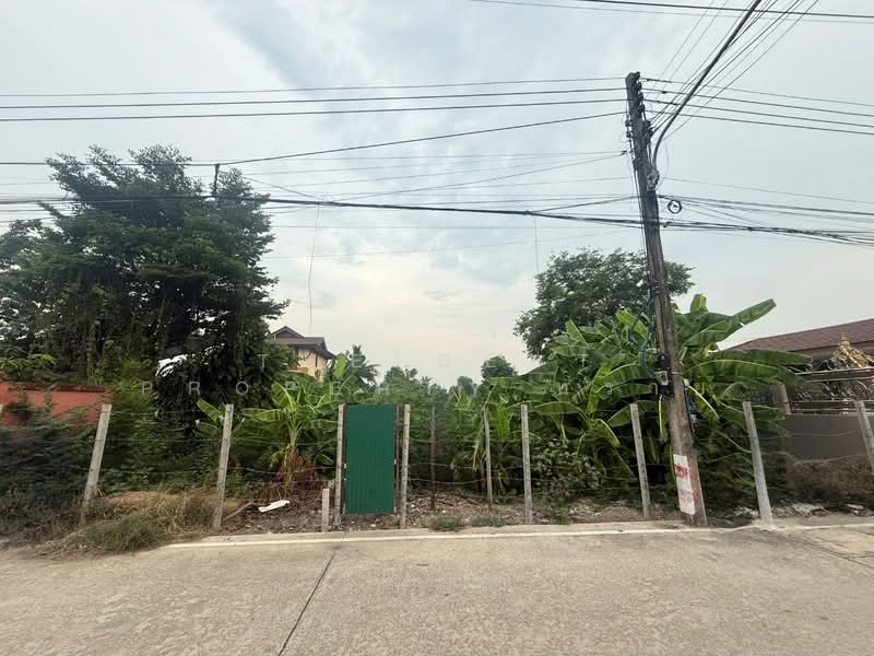 ที่ดินคลองหลวง ปทุมธานี, Pathum Thani, Khlong Ha, Khlong Luang, Pathum Thani, , 752 sqm, Land For Sale, by The Best Property ทราย, 500334531 - DDproperty.com