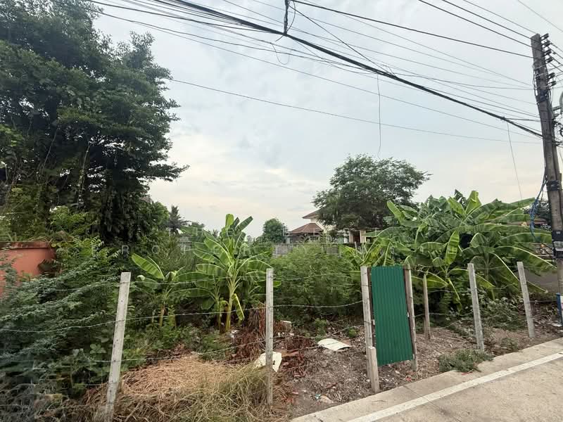 ที่ดินคลองหลวง ปทุมธานี, Pathum Thani, Khlong Ha, Khlong Luang, Pathum Thani, , 752 sqm, Land For Sale, by The Best Property ทราย, 500334531 - DDproperty.com