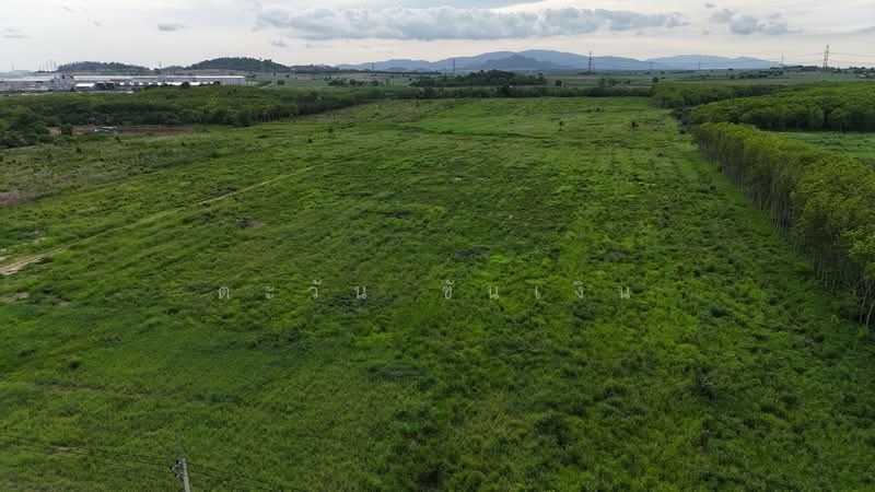 Land for long-term lease in Nong Yai, Chonburi. Size : 90 rai, Chon Buri (Pattaya), Nong Sua Chang, Nong Yai, Chon Buri (Pattaya), , 144,088 sqm, Land For Rent, by ตะวัน ขันเงิน, 500334570 - DDproperty.com