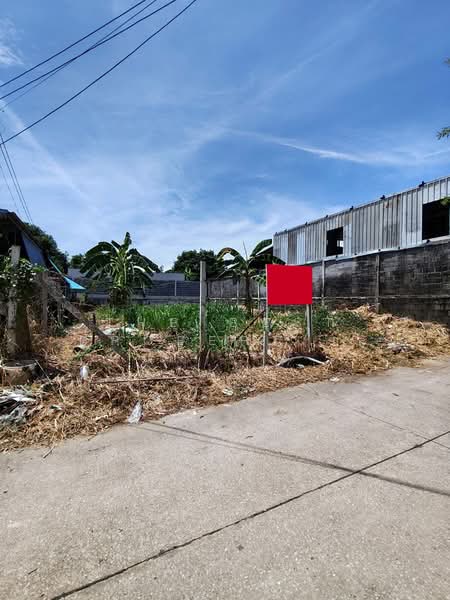 ที่ดินศรีราชา ชลบุรี, Chon Buri (Pattaya), Surasak, Si Racha, Chon Buri (Pattaya), , 288 sqm, Land For Sale, by The Best Property เขม, 500334687 - DDproperty.com