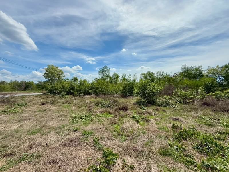 ที่ดินลาดหลุมแก้ว ปทุมธานี, Pathum Thani, Na-Mai, Lat Lum Kaeo, Pathum Thani, , 1,600 sqm, Land For Sale, by The Best Property ป๋อมแป๋ม, 500334775 - DDproperty.com