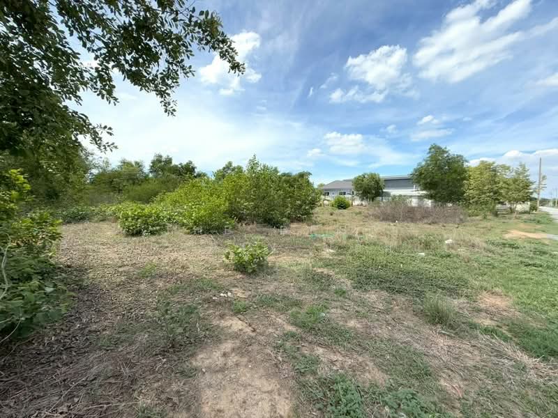 ที่ดินลาดหลุมแก้ว ปทุมธานี, Pathum Thani, Na-Mai, Lat Lum Kaeo, Pathum Thani, , 1,600 sqm, Land For Sale, by The Best Property ป๋อมแป๋ม, 500334775 - DDproperty.com