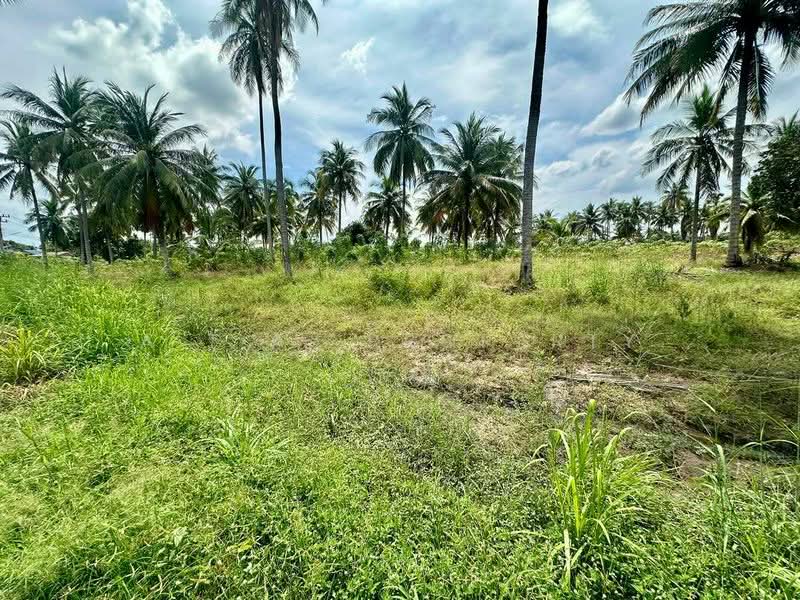 ที่ดินแปลงสวย โซนแหลมฉบัง ศรีราชา, Chon Buri (Pattaya), Thung Suk La, Si Racha, Chon Buri (Pattaya), , 25,600 sqm, Land For Rent, by A.T.A. Property, 500334836 - DDproperty.com