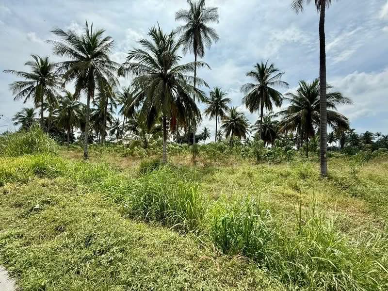 ที่ดินแปลงสวย โซนแหลมฉบัง ศรีราชา, Chon Buri (Pattaya), Thung Suk La, Si Racha, Chon Buri (Pattaya), , 25,600 sqm, Land For Rent, by A.T.A. Property, 500334836 - DDproperty.com