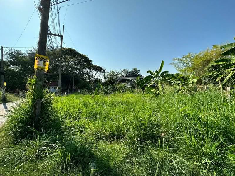 ที่ดินใกล้ทะเล บางพระ ศรีราชา, Chon Buri (Pattaya), Bang Phra, Si Racha, Chon Buri (Pattaya), , 400 sqm, Land For Sale, by A.T.A. Property, 500334855 - DDproperty.com