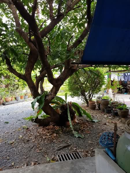 ที่ดินและสิ่งปลูกสร้าง สุขุมวิท 81, Bangkok, Phra Kanong Nua, Watthana, Bangkok, , 1,428 sqm, Land For Sale, by HOME Real Estate Service, 500334878 - DDproperty.com
