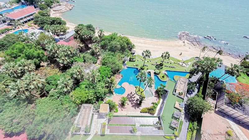The Palm Wongamat Beach : เดอะ ปาล์ม วงศ์อมาตย์, ชลบุรี, ถนน ซอย นาเกลือ 16, นาเกลือ, บางละมุง, ชลบุรี, 53 ตร.ม., คอนโด ให้เช่า, โดย Pattanapong Pongpipat, 500334882 - DDproperty.com