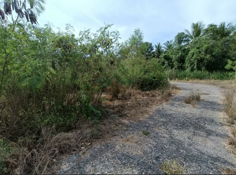 ที่ดินอัมพวา สมุทรสงคราม, Samut Songkhram, Tha Kha, Amphawa, Samut Songkhram, , 584 sqm, Land For Sale, by The Best Property โอ๋, 500334931 - DDproperty.com
