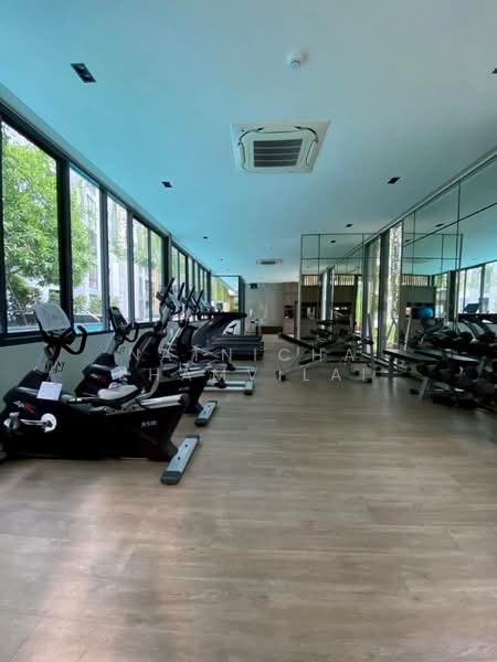 The Nest Sukhumvit 71 : เดอะ เนสท์ สุขุมวิท 71, กรุงเทพ, 17 ซอยปรีดีพนมยงค์ 2, พระโขนงเหนือ, วัฒนา, กรุงเทพ, 30 ตร.ม., คอนโด ให้เช่า, โดย Natnicha Khamvilai, 500334964 - DDproperty.com