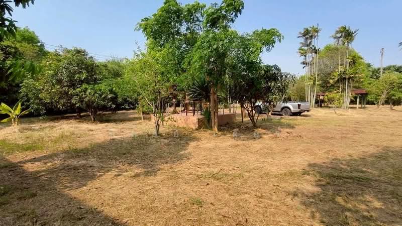 ทุ่งคอก, Suphan Buri, Thung Khok, Song Phi Nong, Suphan Buri, , 12,800 sqm, Land For Sale, by ชลออ เดียร์, 500335021 - DDproperty.com