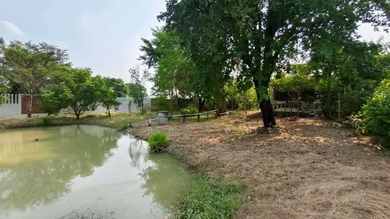 ทุ่งคอก, Suphan Buri, Thung Khok, Song Phi Nong, Suphan Buri, , 12,800 sqm, Land For Sale, by ชลออ เดียร์, 500335021 - DDproperty.com