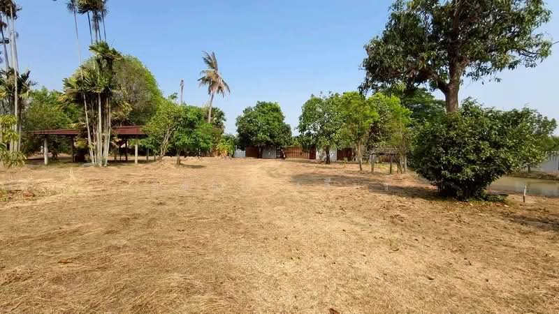 ทุ่งคอก, สุพรรณบุรี, ทุ่งคอก, สองพี่น้อง, สุพรรณบุรี, 12,800 ตร.ม., ที่ดิน ขาย, โดย ชลออ เดียร์, 500335021 - DDproperty.com
